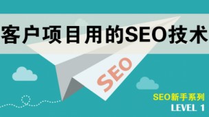 客户项目用的SEO技术【新手系列】